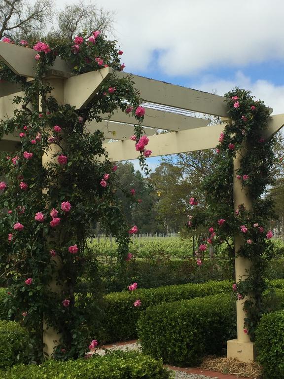 Barossa House Bed & Breakfast Tanunda Dış mekan fotoğraf