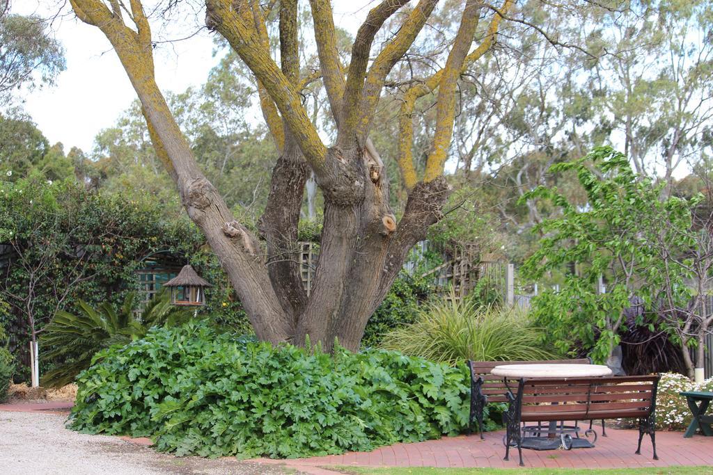 Barossa House Bed & Breakfast Tanunda Oda fotoğraf