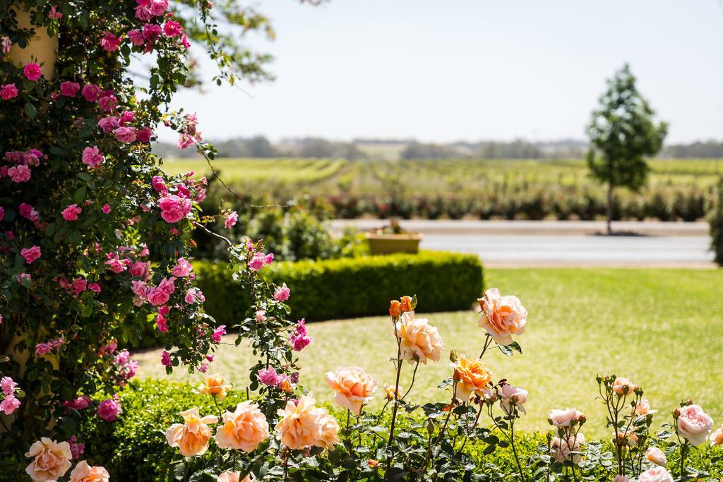 Barossa House Bed & Breakfast Tanunda Dış mekan fotoğraf