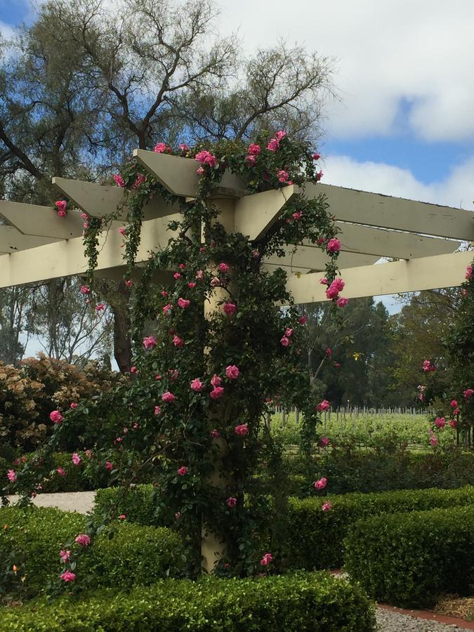 Barossa House Bed & Breakfast Tanunda Dış mekan fotoğraf