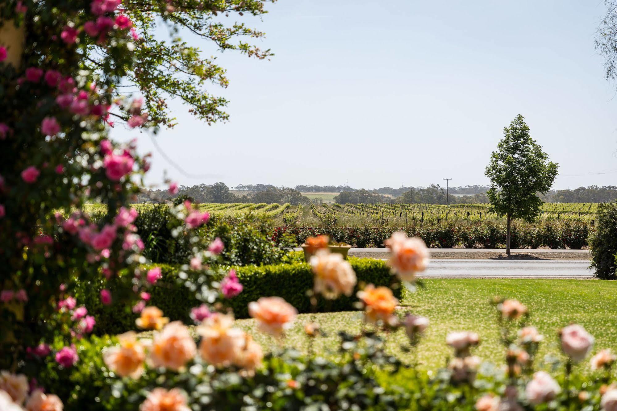 Barossa House Bed & Breakfast Tanunda Dış mekan fotoğraf