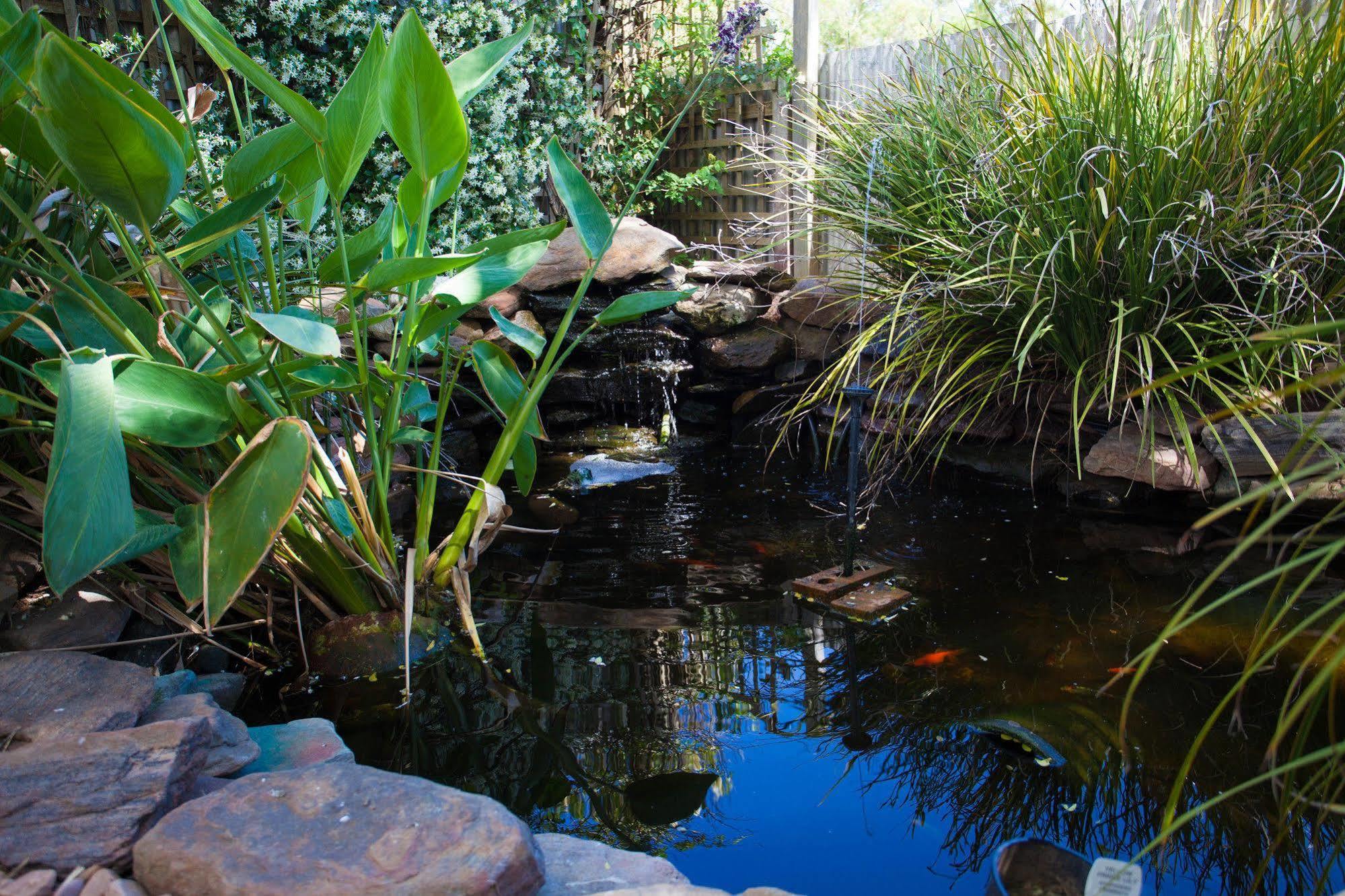 Barossa House Bed & Breakfast Tanunda Dış mekan fotoğraf