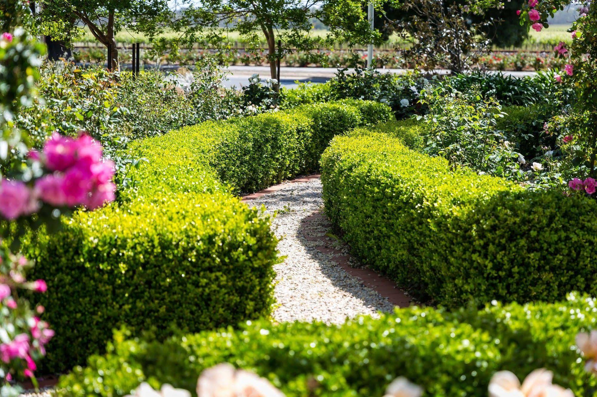 Barossa House Bed & Breakfast Tanunda Dış mekan fotoğraf